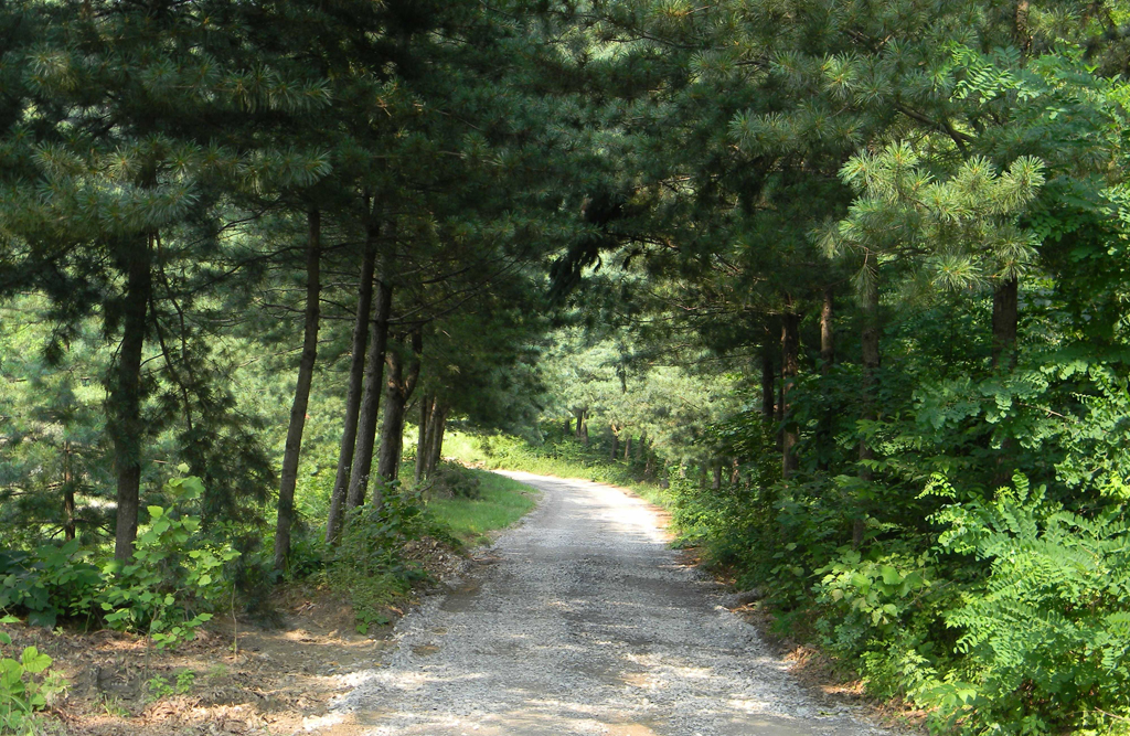 芙水洞自行车路