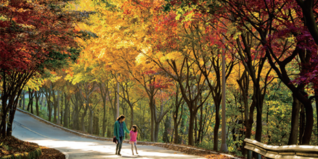 Daejeon Dullesan-gil Trail2