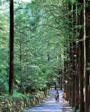Jangtaesan Park2