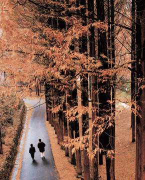 Jangtaesan Park3
