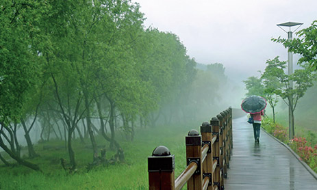 Daecheong Lake2