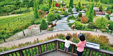 Hanbat Arboretum1