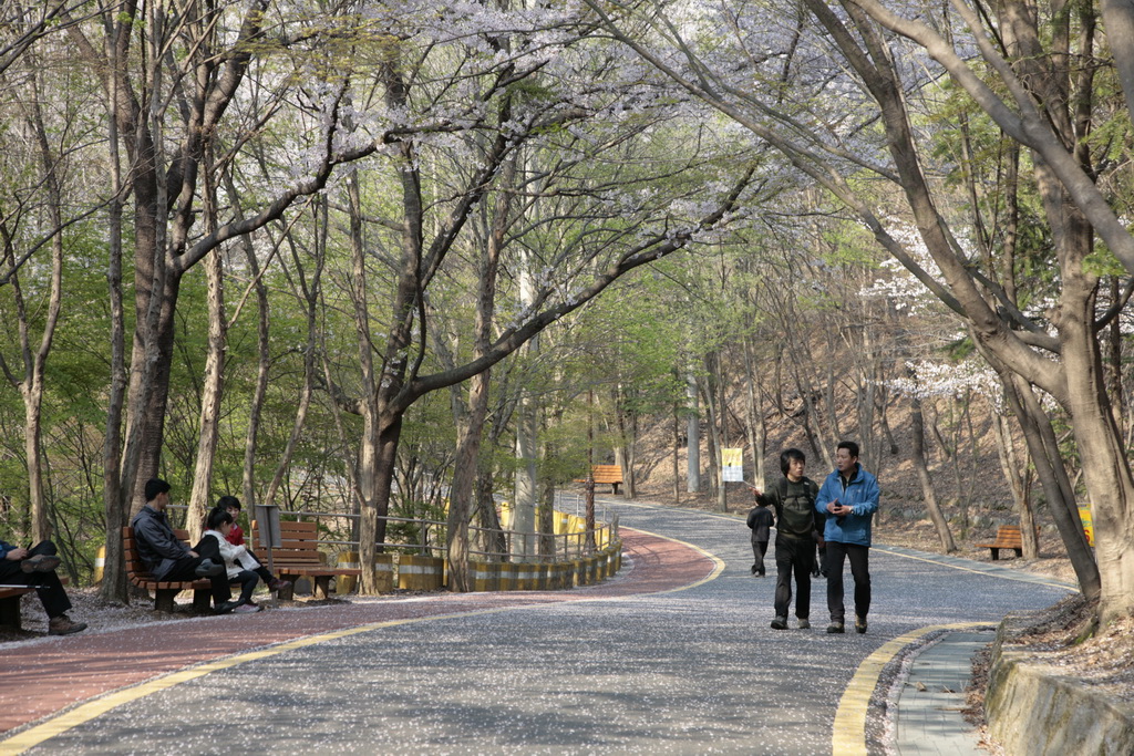 宝文山(ポムンサン)公園