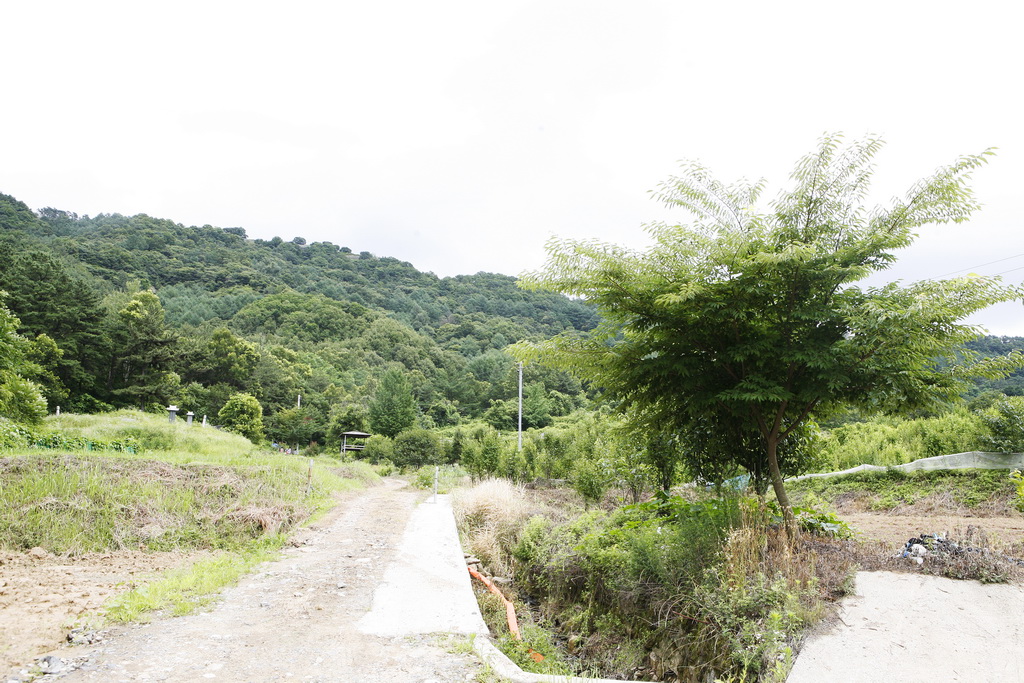鶏足山(ケジョクサン)公園