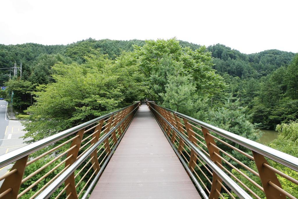 万仞山自然休養林