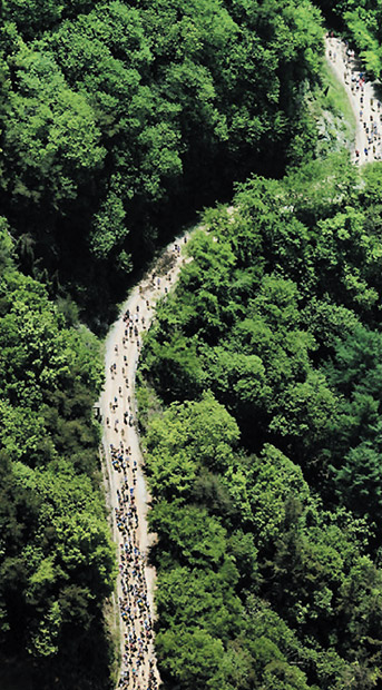 鶏足山の黄土道