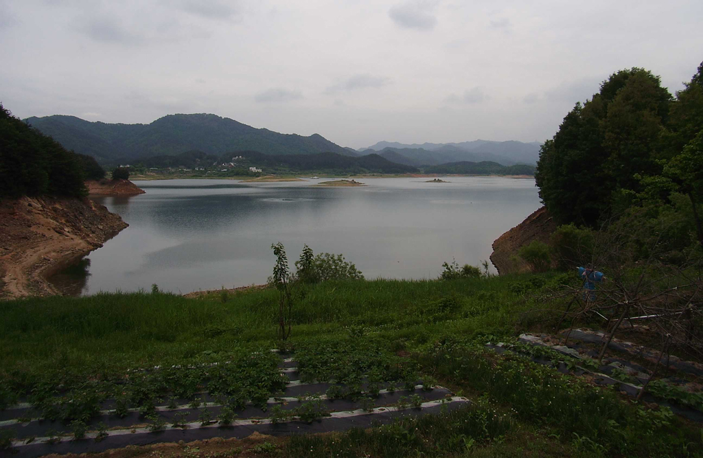 冷泉自行车路