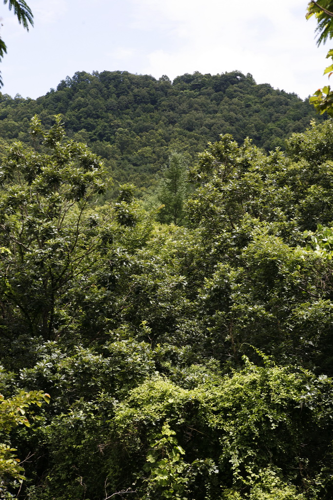 鸡足山晚霞