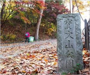 11월, 낙엽 밟고, 책도 보고