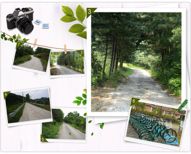 Busu-dong Route Scenery.jpg